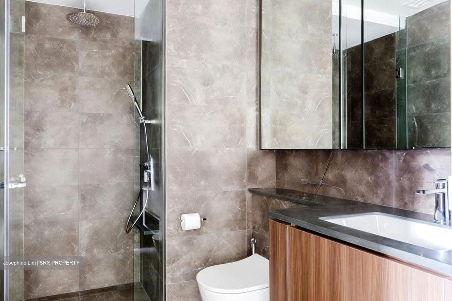 Kopar At Newton (D9), Apartment #626919661